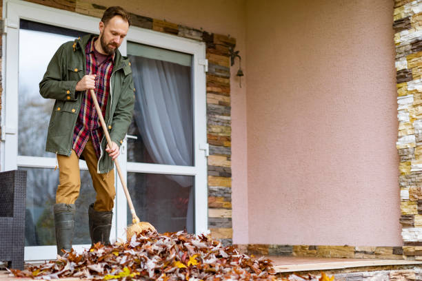 Best Yard Cleanup Services  in USA